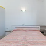 Prázdninový dům House Punta Nera *